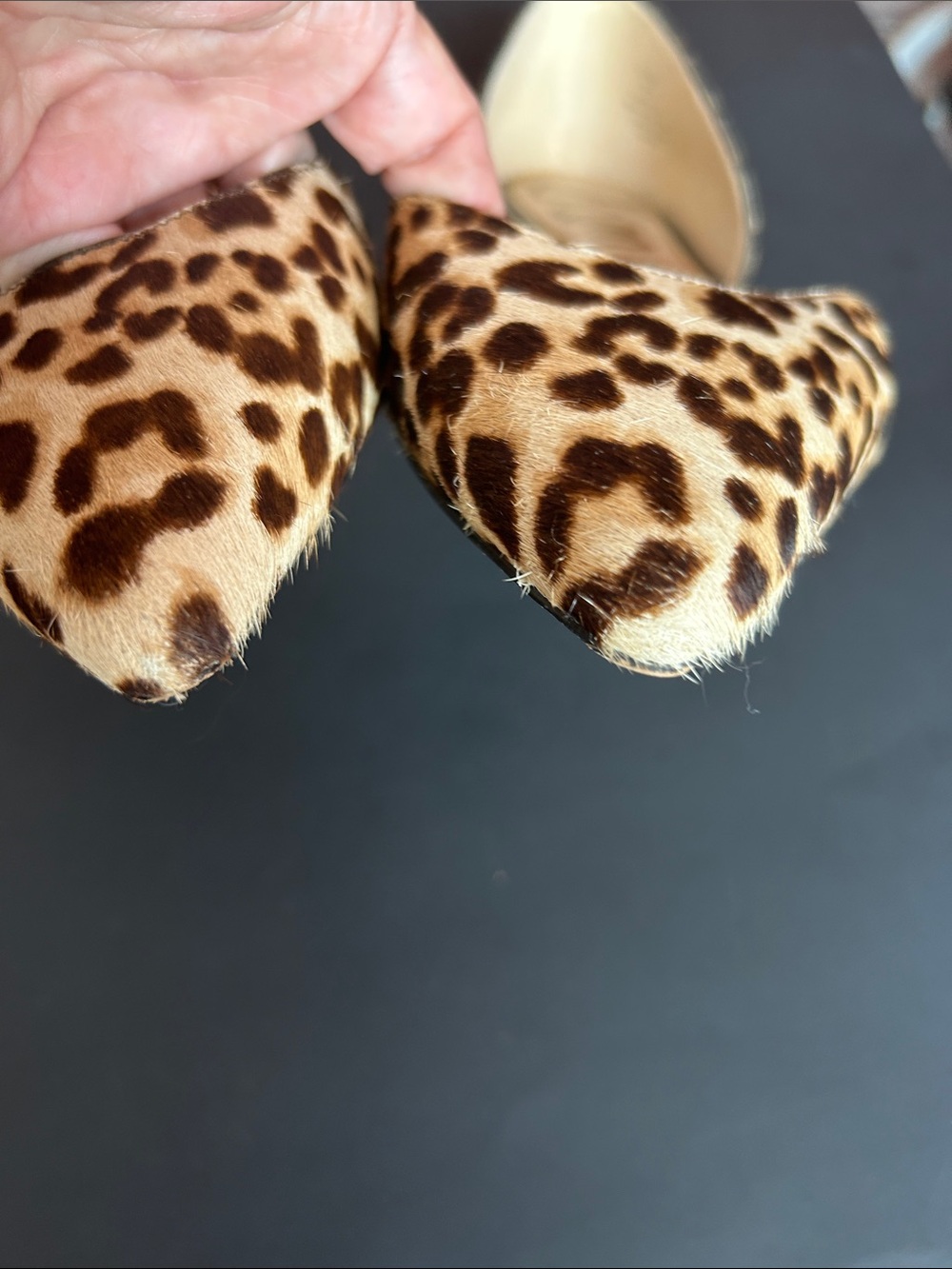 Sam Edelman Leopard Print Pointed Toe Flats Size 10 Calf Hair Rodney D’Orsay - Picture 8 of 12